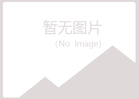 鹤山冰夏采矿有限公司